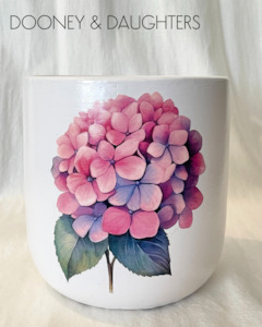 Large Pot - Pink Hydrangea