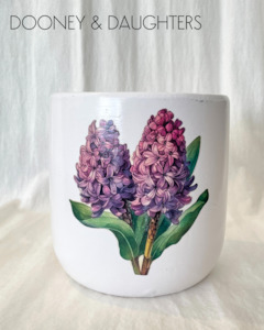 Large Pot - Hyacinth