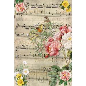 A4 Rice Paper - DDD - Dawn Song