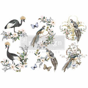 ReDesign Transfer Mini - Rare Birds