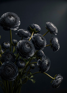 Mint Large Decoupage Papers: Midnight Ranunculus Decoupage Paper