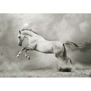 Sale 1: White Horse Decoupage Paper