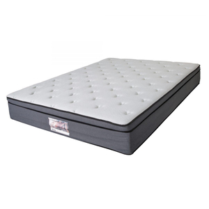Donna Teresa Euro Top Pocket Spring Queen Mattress - Dream Furniture