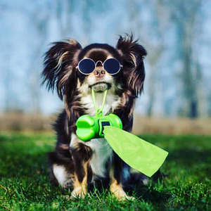 Little Green Dog - Compostable Dog Poop Bags