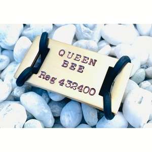 Collars: The Adventure Dream Tags - Bespoke Handcrafted Dog Tags