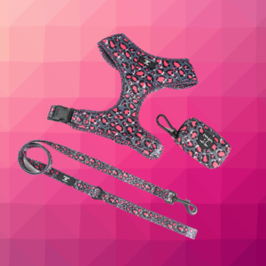 Harness + Lead + Poo bag holder Bundle Mix & Match
