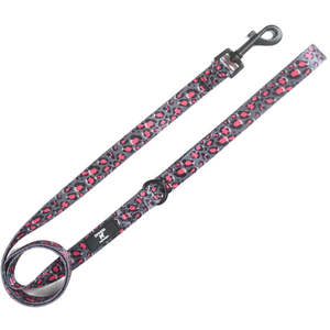 Leopardo Rosa - Lead