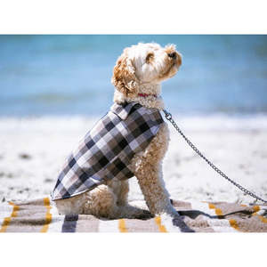 Pooch Wear: Soft Top - Walking Coat - Navy & Tan check