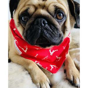 Pooch Wear: Clothes By Portia - Christmas Bandana - Racing Reindeers
