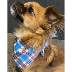 Pooch Wear: Boss + Boo - Sir Humphrey Bandana