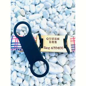 Dream Adventure Tag & Collar Bundle