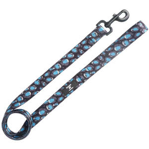 Snow Leopard - Lead