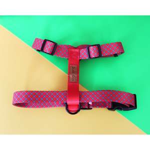 Boss + Boo - The Royal Harness