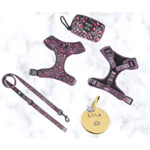 Dream Dog Designs Collection: Dream Dog Harness Bundle - 5 Designs to Choose From