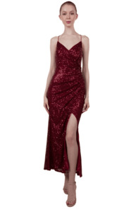 Products: Burgundy Dress