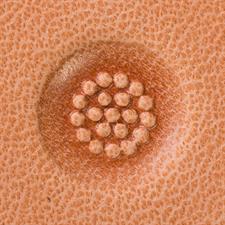 Hand Tools: Seed Cluster Stamping Tool