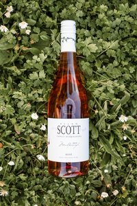 Other Wine Drinkland: Allan Scott Marlborough Pinot Noir Rose 750mL