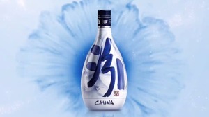 Fen Jiu Qinghua Blue Flower 20 Year Old 中国白酒 青花瓷20年汾酒 500mL