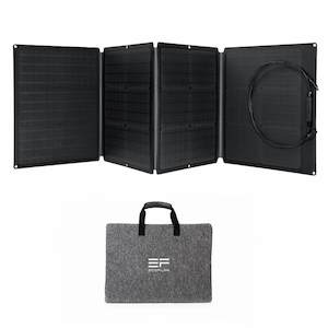 Power Station: EcoFlow 110W Solar Panel