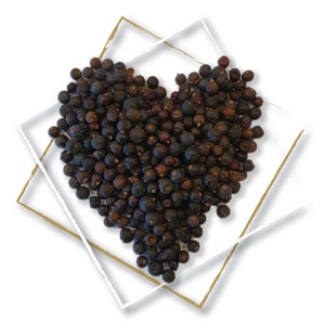 Products: Juniper Berry d: STIL Project