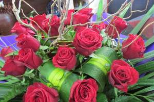Valentines Day: Dozen Roses