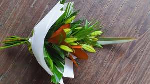 Graduation Formals: Lily Cones