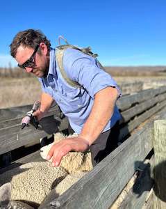 Mens: Dusty Adults - WORK SHIRT - LIGHT BLUE