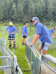 Tussock Short Sleeve Shirt - Blue