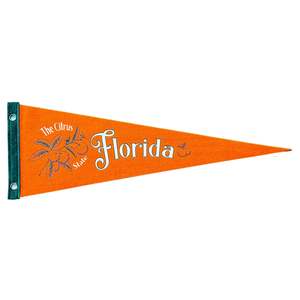 Florida Pennant | Travel Felt Pennant Flag Banner | Vintage Style | Wall Decor