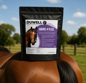 Amino 4 Plus