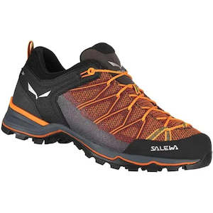 Salewa Mens Mountain Trainer Lite Shoes