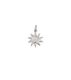 Charm Sun Steel