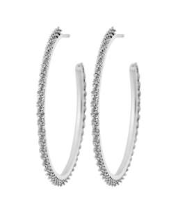 Let Curiosity Lead: Tinsel Thin Creoles M Steel