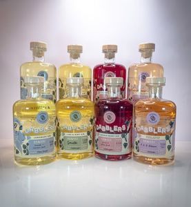 Products: Dabblers Gin CUSTOM LABEL Party Pack