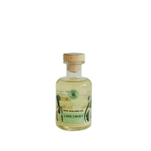 Dabblers Lime & Mint Naturally Infused Gin - 200ml