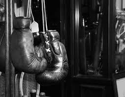Products: Day Pass: Martial Arts + Gym + Sauna - art of combat