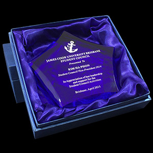 Custom Awards, Rapid Turnaround, Lowest Prices Ever