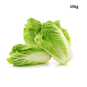 Cabbage Wombok x 15+ kg carton