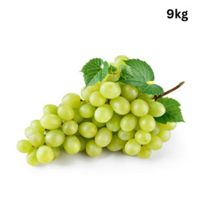 Fresh Produce: Grapes Green x 9kg CTN