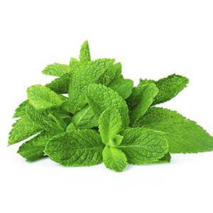 Local Produce: Fresh Mint (50g Bunch)