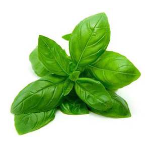 Local Goods: Teouma Valley Farms Basil (bunch 100g)
