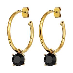 Gold Lover: Diega Gold Earrings - Black