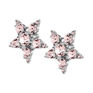 Sale: Gemini Shiny Silver Earrings - Vintage Rose