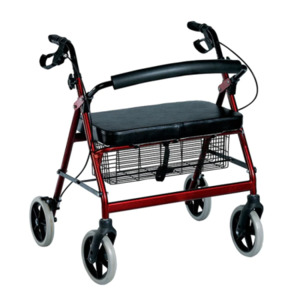 Walkers, Frames & Accessories: Wellsford Extra Wide Walker