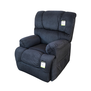 Products: Lift Chair Goldfern Electric