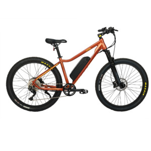 Infinity HubDrive E-Mountain Bike