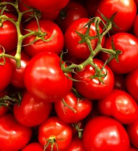Organic Spicy Tomato Relish Early Bird Organics