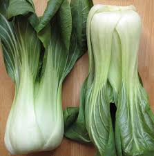 Organic Pak Choi bdl Early Bird Organics