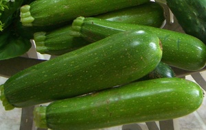 Organic Zucchinis kg Early Bird Organics