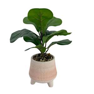 Potted Plants: De Fluers Ombre Potted Faux Fiddle Plant 33cm